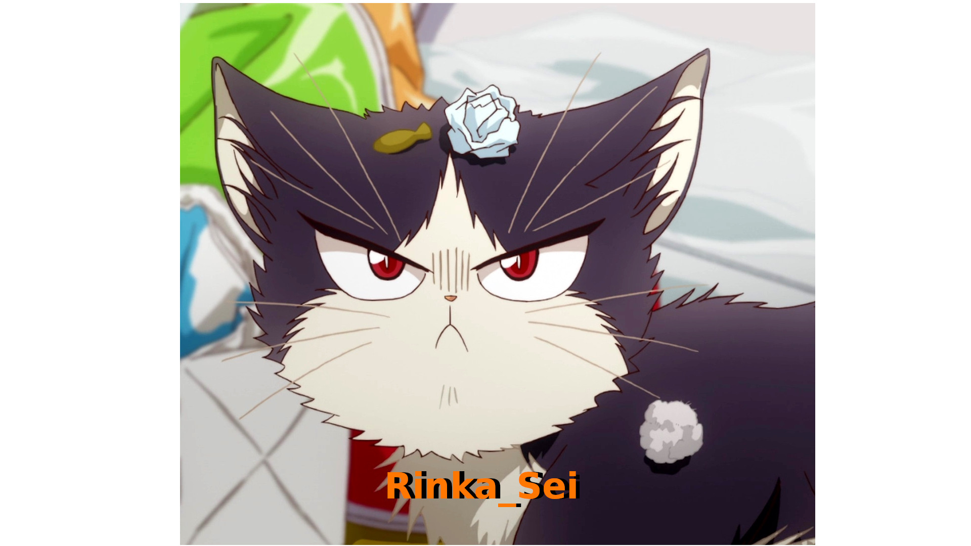Rinka Sei avatar